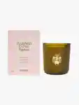 Hero Flamingo Estate Euphoria Candle 1 940