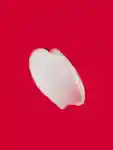 Swatch Ceremonia Guava Conditioner