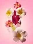 Alternative Image Sol De Janeiro Beija Flor Biggie Biggie Body Cream