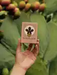 Alternative Image Nopalera Mayo Flora Soap